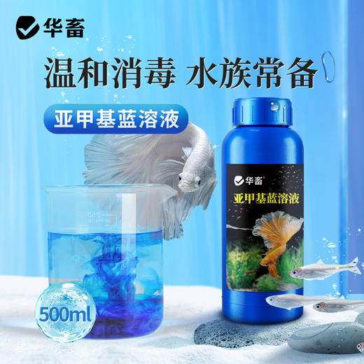 华畜亚甲基蓝鱼缸杀菌消毒锦鲤观赏鱼药白点净烂身烂尾水霉病专用 商品图0
