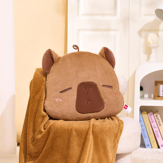 【MDL】卡皮巴拉多功能抱枕毯 商品图1