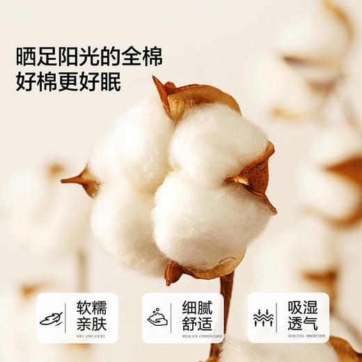 水星  百丽丝家纺套件四件套套件水洗棉刺绣全棉 yb1230001 商品图1