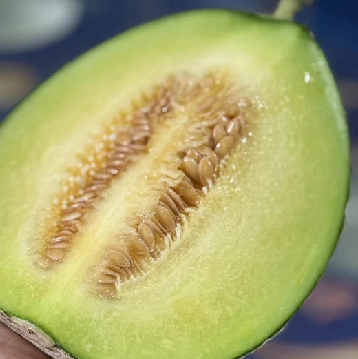 【高端某东同款静冈网纹瓜】出口级品质，伯格大粗纹冰淇淋枚龙蜜瓜，常温放软食用，香嫩多汁，源自日本进口品种，国内精心培育，爆款来袭！放软了吃可以用勺子挖着吃！ 商品图5