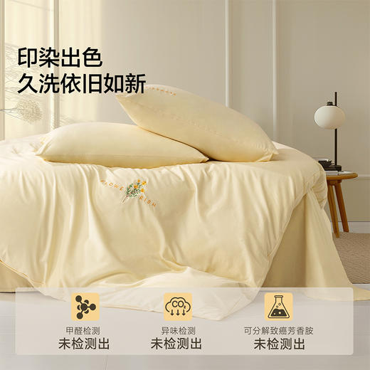 水星  百丽丝家纺套件四件套套件水洗棉刺绣全棉 yb1230001 商品图3