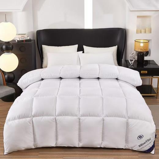 【希尔顿同款定制羽丝绒被】羽丝绒棉被芯春秋冬被 加厚保暖被子送礼袋 商品图5