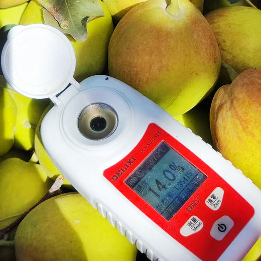 新疆库尔勒香梨 | 5斤/箱 脆甜多汁 皮薄肉厚 产地直发 应季水果 商品图5