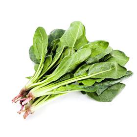 【超市】百盛鲜蔬达 菠菜 约300g