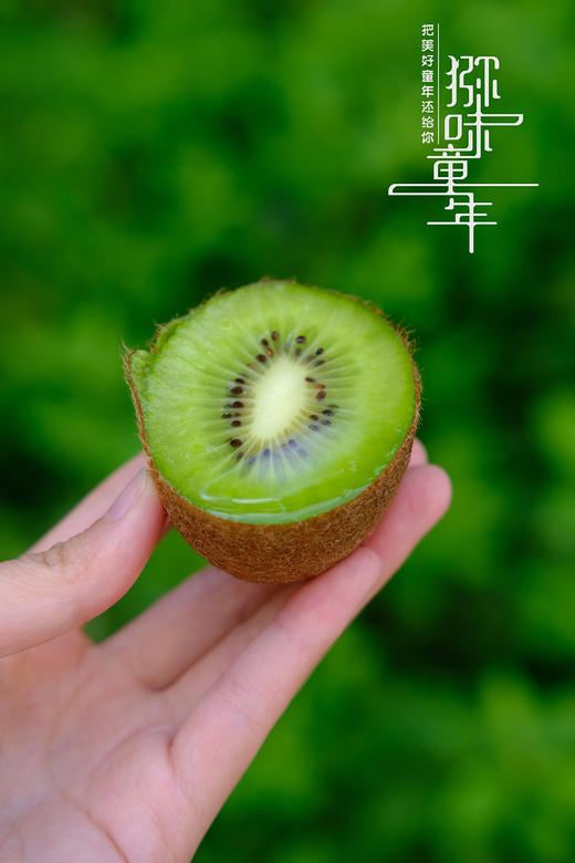 【瑞玉猕猴桃】果型扁平 果色棕褐色 果香味浓郁 极致香甜，肉质紧实细嫩，糖度要更高点-CC 商品图8
