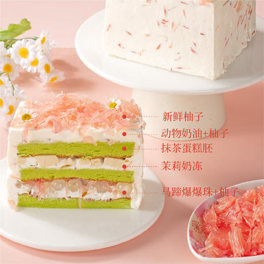 【新品上市】柚见秋天小方4英寸动物奶油分享蛋糕 商品图1