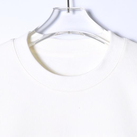 8610SDSA男士秋冬新款痞帅男装美式撞色绒毛刺绣字母圆领卫衣百搭宽松 商品图2