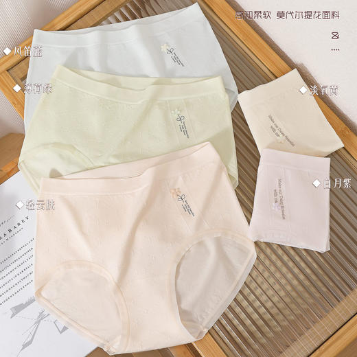 【三条装】女士平腰印花内裤莫代尔三角裤底裤【CSL25269】 商品图1