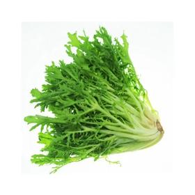 【超市】良道 有机狗牙生菜280g（买三赠一，赠品请备注）