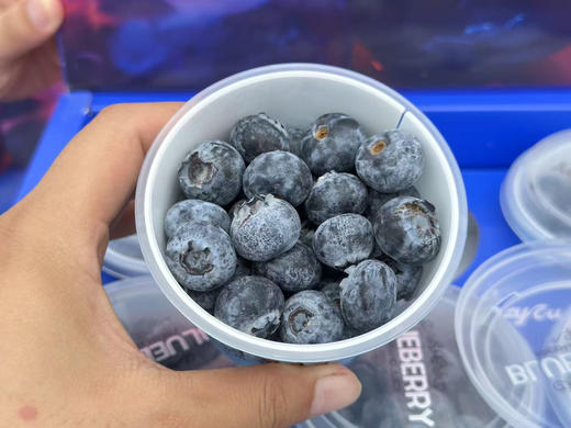 蓝莓星辰杯Lucky cup 蓝莓🫐脆甜，一份一小杯，携带也方便～最新到 又脆又甜。 商品图12