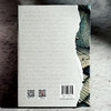 故乡人 薛忆沩短篇小说集 故乡怀念 精装 商品缩略图2