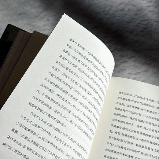 故乡人 薛忆沩短篇小说集 故乡怀念 精装 商品图8