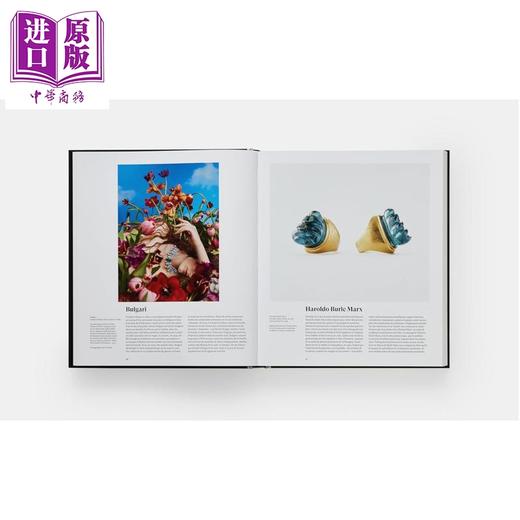 【中商原版】The Jewelry Book 进口艺术 珠宝图鉴 Phaidon 商品图2