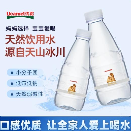 优驼·新疆天山天格尔峰冰川水 330毫升*12瓶  新疆天山冰川低氘水 商品图2