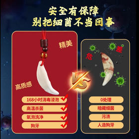 【祈愿吉品】黑狗牙吊坠