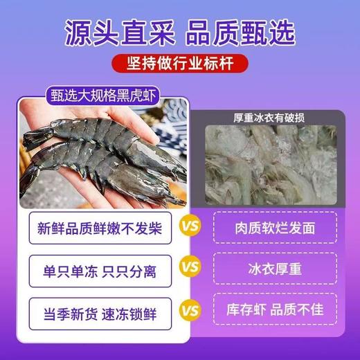 【北海湾印度黑虎虾 虾中之王 】600g*2盒 商品图2