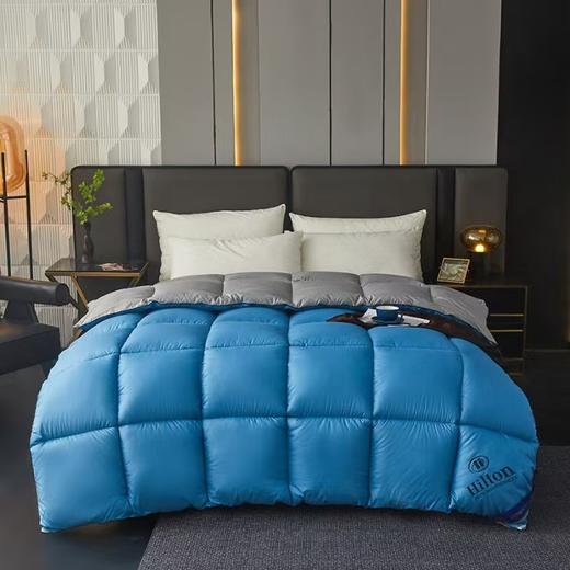 【希尔顿同款定制羽丝绒被】羽丝绒棉被芯春秋冬被 加厚保暖被子送礼袋 商品图13