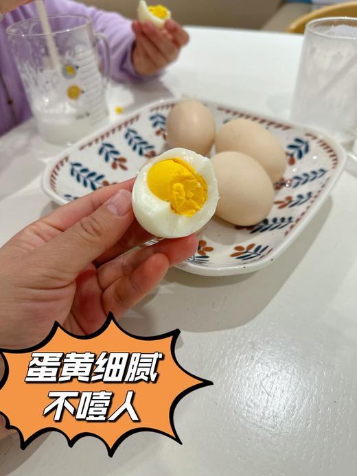 每月一囤！【预售】【散养土鸡蛋】纯粮慢养+散放觅食，拒绝激素、抗生素，拒绝高密度笼养，拒绝速成鸡，生态间小群散养。 商品图9