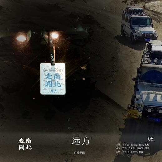 侣行 车载香片车内挂件香氛装饰摆件衣柜香氛片 商品图5