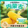 易中易有机糯玉米 | 轻食新选择.享自然本味 商品缩略图0