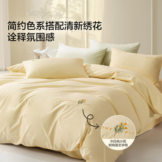 水星  百丽丝家纺套件四件套套件水洗棉刺绣全棉 yb1230001 商品图2