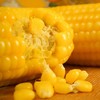 【1箱12根】禾味仙 黄糯玉米（单根14公分，240g以上） 商品缩略图2