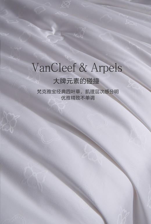 自然醒伊芙琳玻尿酸桑蚕丝被玻尿酸桑蚕丝长丝春秋被轻奢60支全棉大提花冬被单人双人被四叶草LB 商品图4