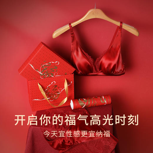 一起红】金三塔桑蚕丝文胸内裤套装女本命年新年婚庆红色舒适内衣（私密物品不支持退换货）NSFAC313+NZFAC213+NZFFA302+NZSSD203 商品图2