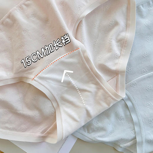 草本初色【到手4条】护理性10A抑菌舒适透气内裤四条装N9233 商品图2