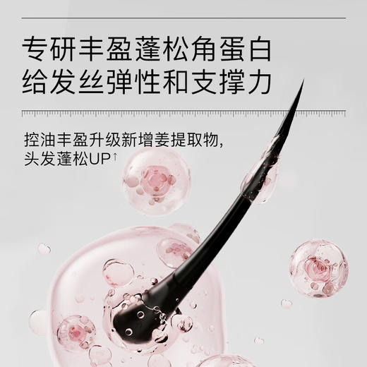 黛丝恩致美洗发水450ml 商品图4