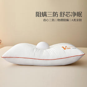水星家纺柔软舒适净芯阻螨三防对枕酒店枕芯（到手两只）
