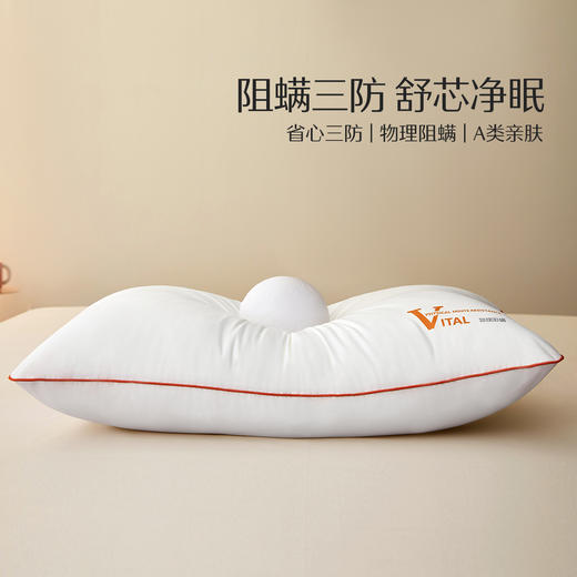水星家纺柔软舒适净芯阻螨三防对枕酒店枕芯（到手两只） 商品图0