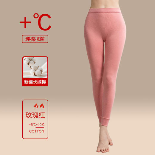【雅鹿秋裤女士保暖裤】纯棉薄款修身 秋冬内穿打底裤女款 棉毛衬裤全棉多款颜色可选 商品图5
