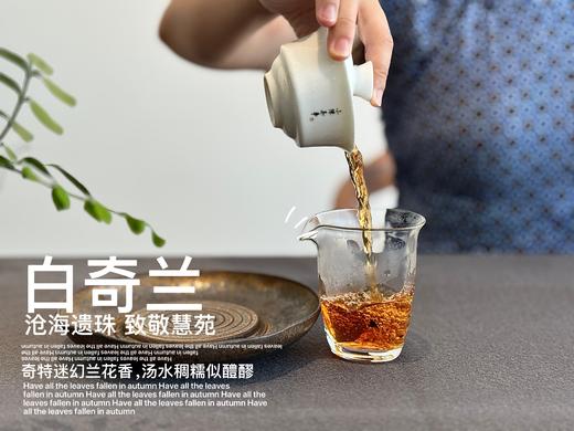 【稀缺名丛】正岩名丛《白奇兰》，十年来才第一次喝到的岩茶顶流，稠如醴酪，一下子就醉了 商品图6