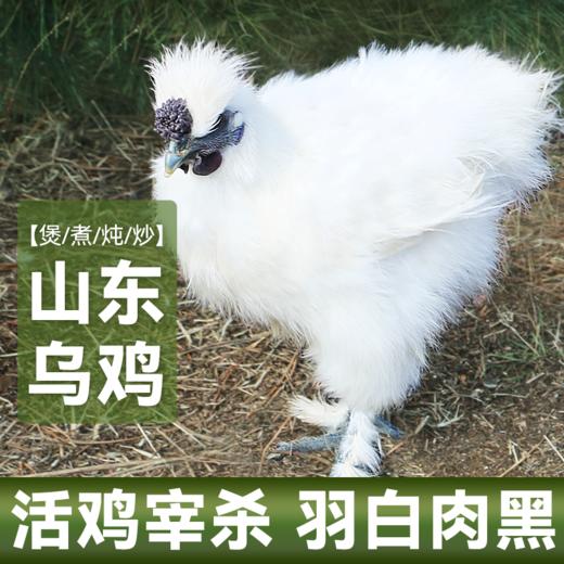 【东上御品 山间散养乌鸡 】1000g*2只 商品图0