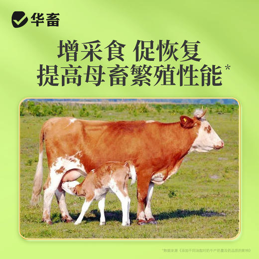 华畜母猪催奶下奶牛羊兽用奶多多饲料添加剂母畜产后催乳增奶霸王 商品图3