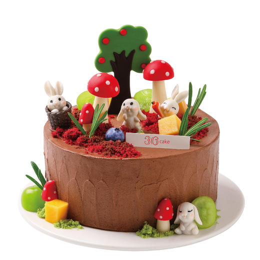 天秤座 ∙ 萌兔秘境 ∙巧克力鲜果脆脆蛋糕，可选1.5/2.5/6磅  | 36 CAKE 商品图5