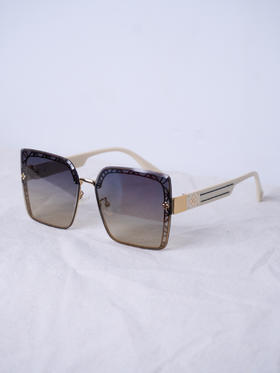 LZ3Y05 - 墨镜 -