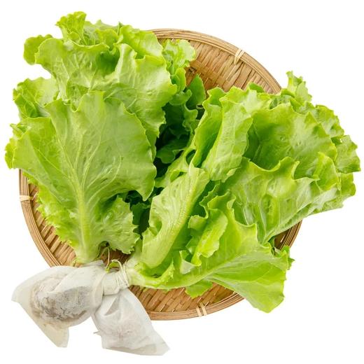 【超市】良道 有机意大利生菜230g（买三赠一，赠品请备注） 商品图0