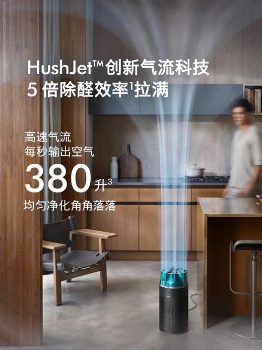 1楼戴森HJ10 空气净化器 商品图2