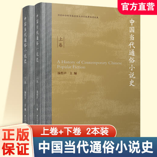 中国当代通俗小说史上下卷2本 本书对通俗小说作家作品文学现象进行了价值评估 主要评估对象为社会小说武侠小说公安法制小说等 商品图0