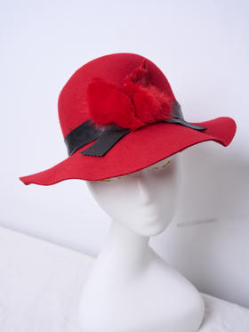 HJ6M12 - 顺圣色帽子 -