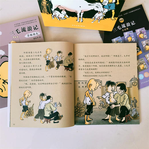 三毛流浪记（彩绘版8册） 商品图4