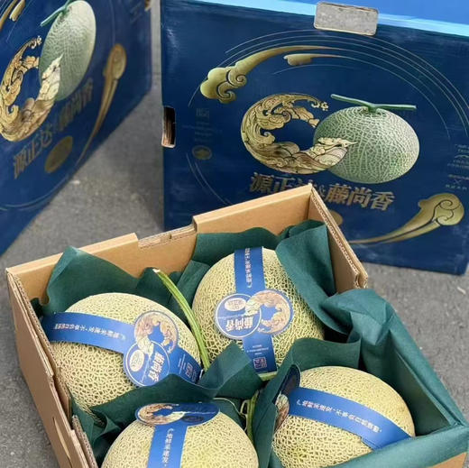 【高端某东同款静冈网纹瓜】出口级品质，伯格大粗纹冰淇淋枚龙蜜瓜，常温放软食用，香嫩多汁，源自日本进口品种，国内精心培育，爆款来袭！放软了吃可以用勺子挖着吃！ 商品图6