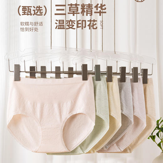 【3条装】女士大版内裤三草精华温变三角裤女士内裤【CSL25273】 商品图0