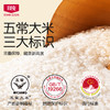 【2025新米】北纯 有机五常大米5kg 商品缩略图2