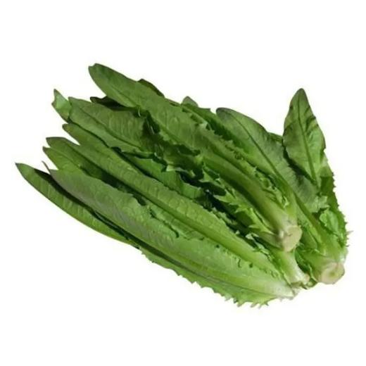 【超市】百盛鲜蔬达 油麦菜 约300g 商品图0