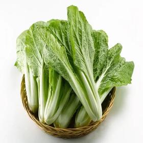 【超市】良道 有机小白菜 300g（买三赠一，赠品请备注）