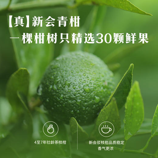 八马茶业 | 真芯·冰岛普洱茶(熟茶)、新会柑皮小青柑250g 商品图5