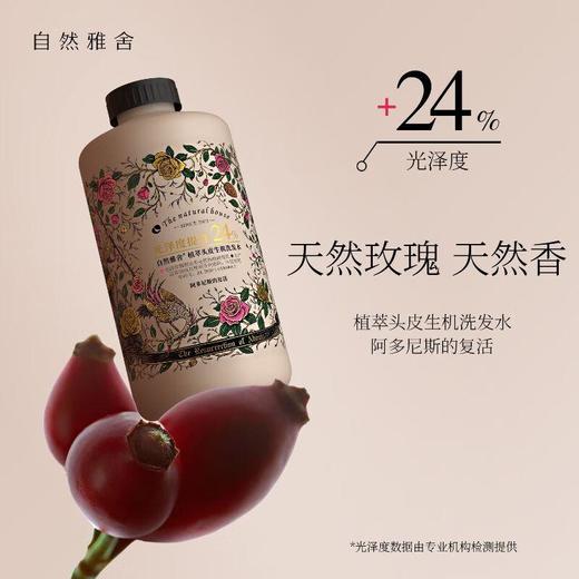 自然雅舍植萃头皮生机洗发水 500ml/瓶 商品图0